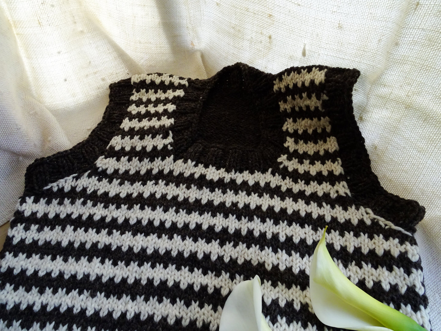 Sweater Golondrina Bicolor