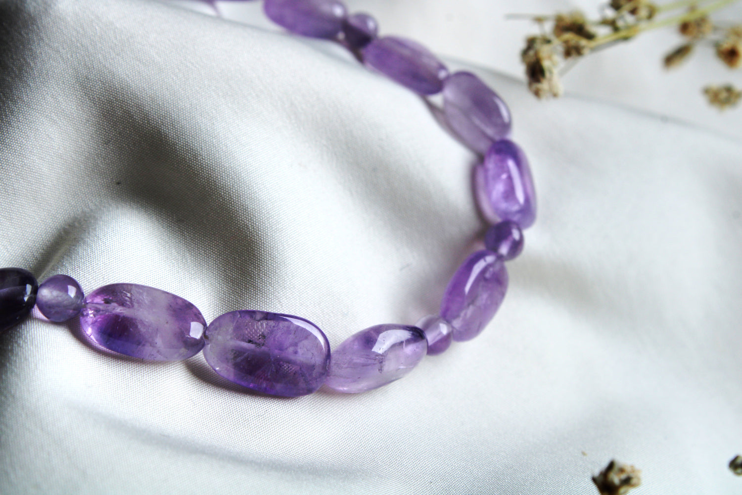 Coronilla • Conexión